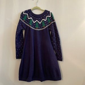 Hanna Andersson sweater dress